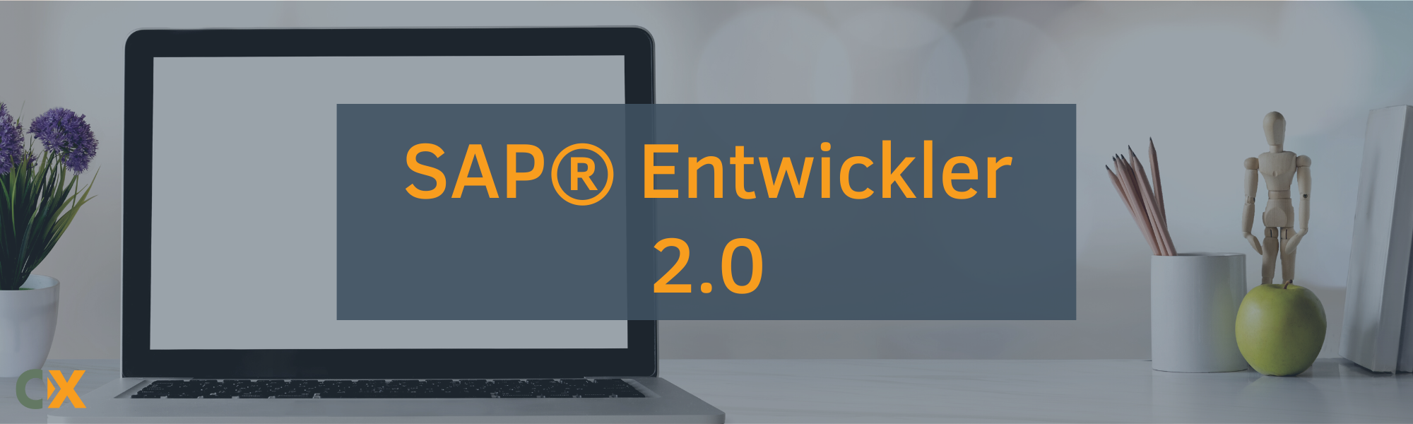 Was Verdient Ein Sap Entwickler SAP® Entwickler 2.0 - Cadaxo GmbH